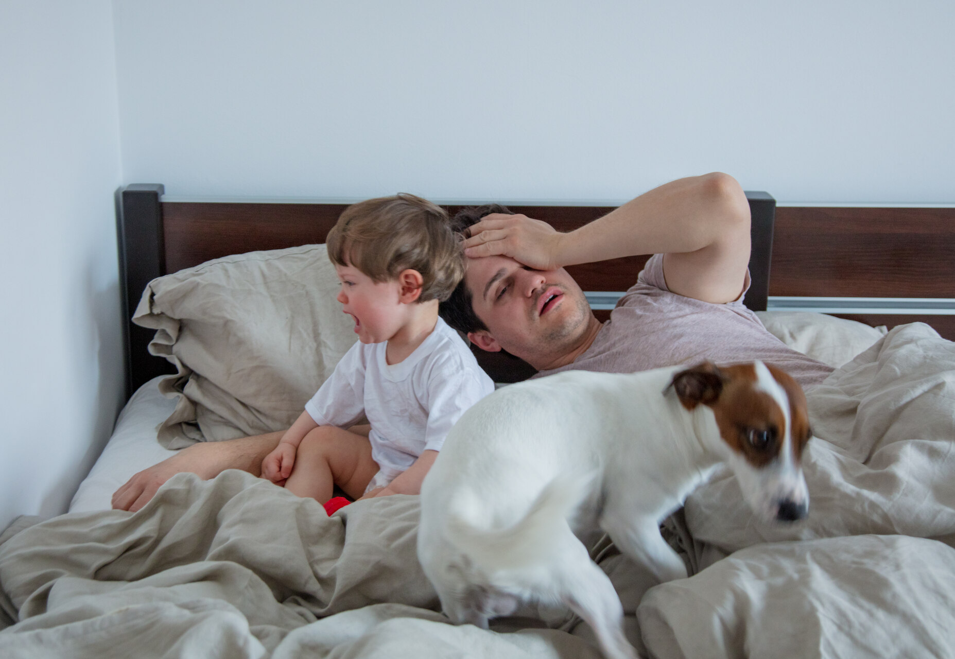 A crying toddler waking up a man and scaring a dog