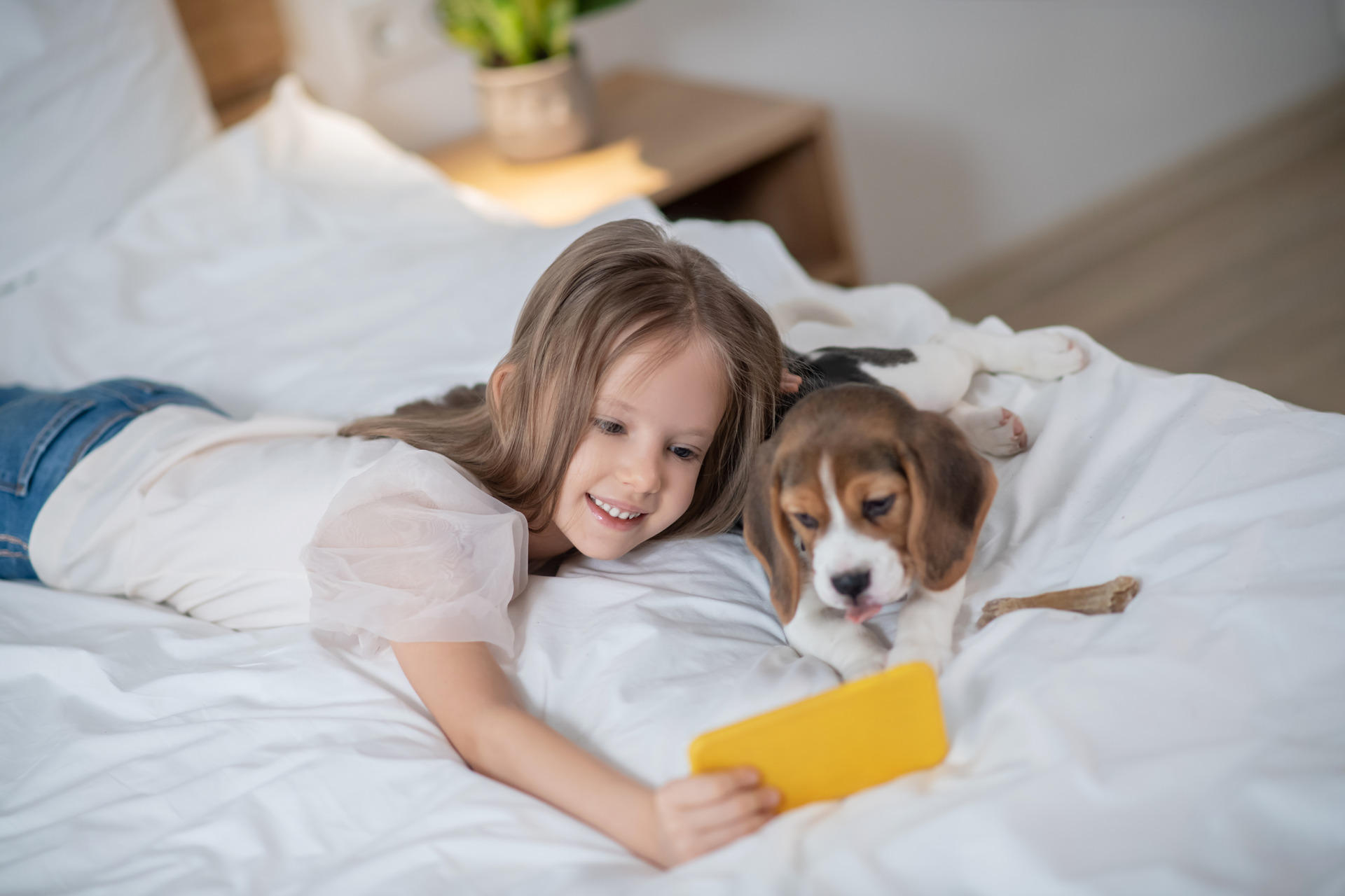 A child distracting a dog from a loud noise by watching a video together