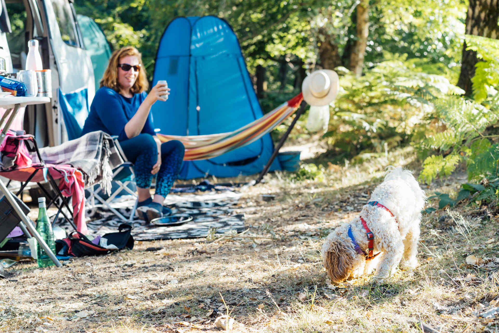 A dog sniffing around a campsite near their owner