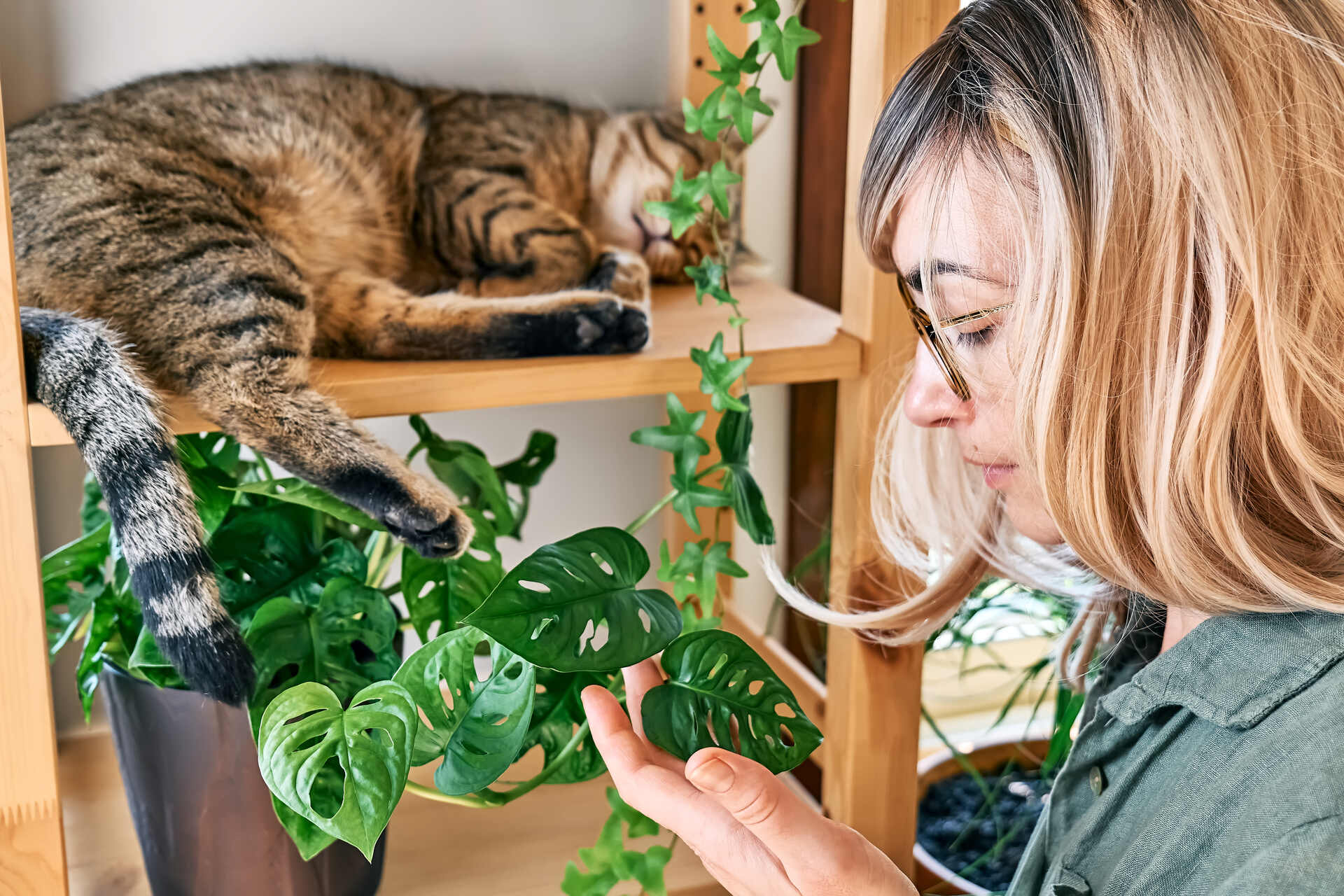 A woman checking her indoor houseplants next to a cat