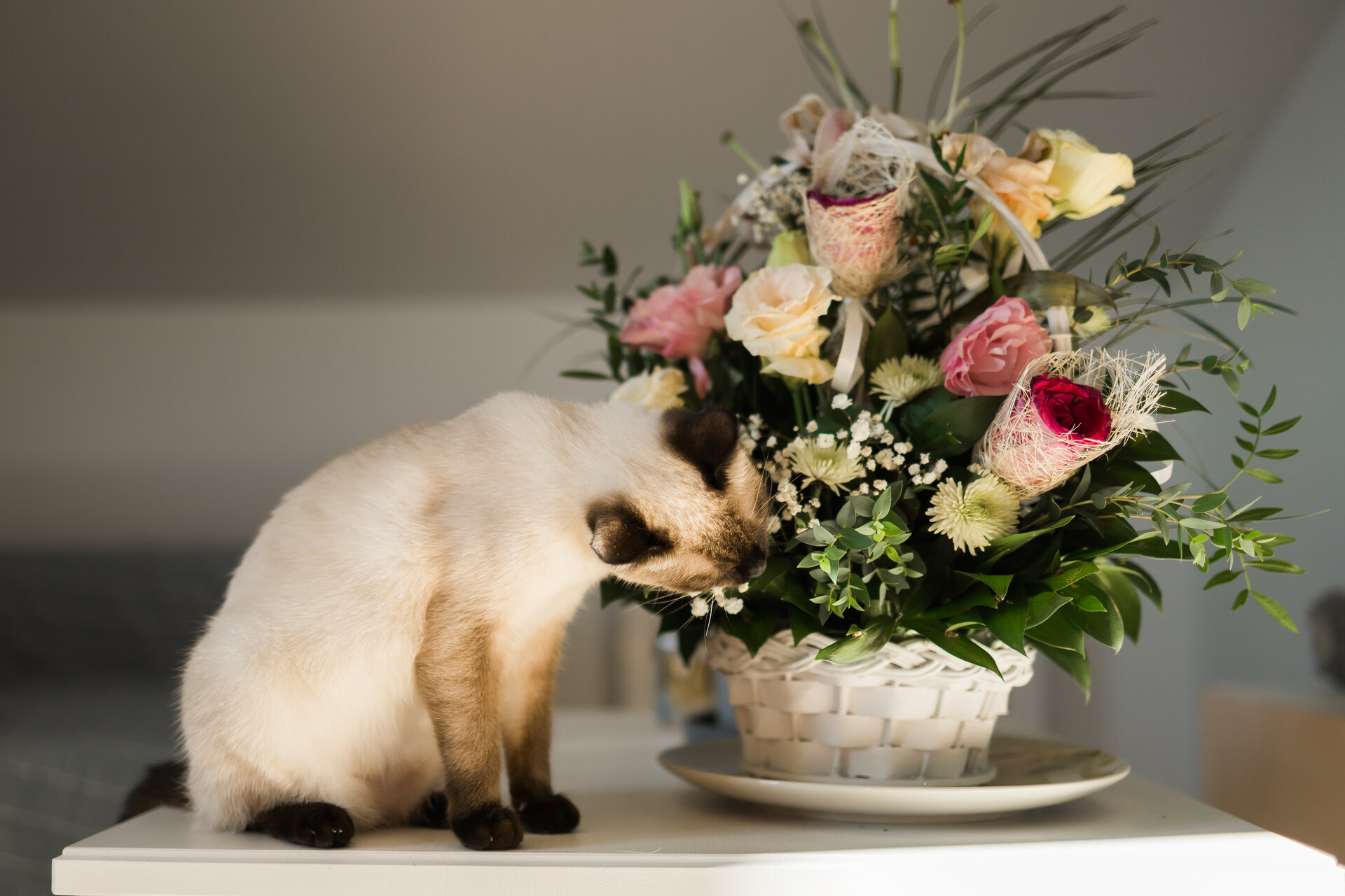 A cat sniffing at a bouquet of flowers in a vase