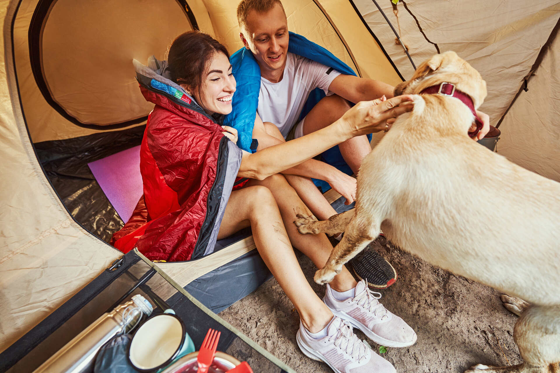 A couple camping with their dog in a tent