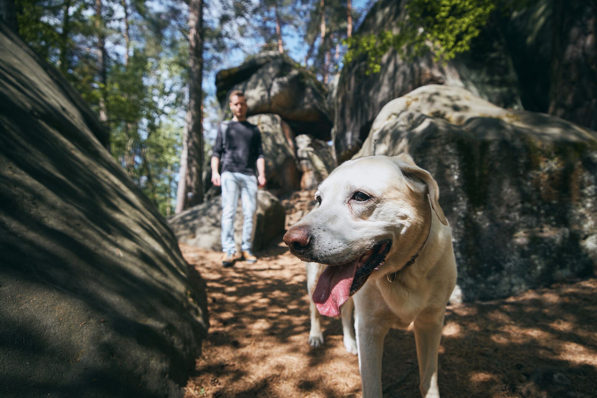 A man going camping with his dog at a national park