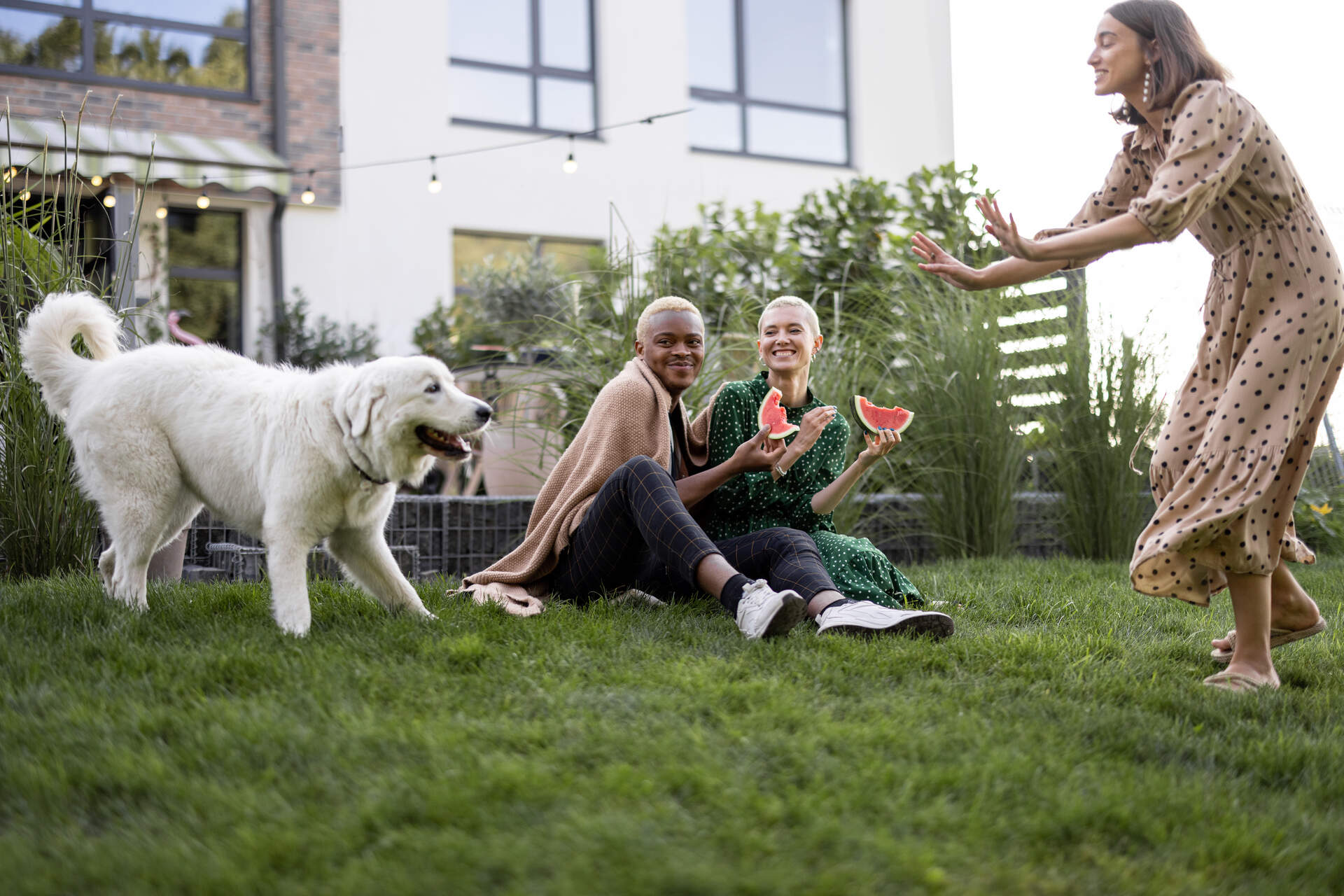 A group of people playing with a dog in a garden
