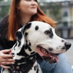 A woman hugging a Dalmatian on the street