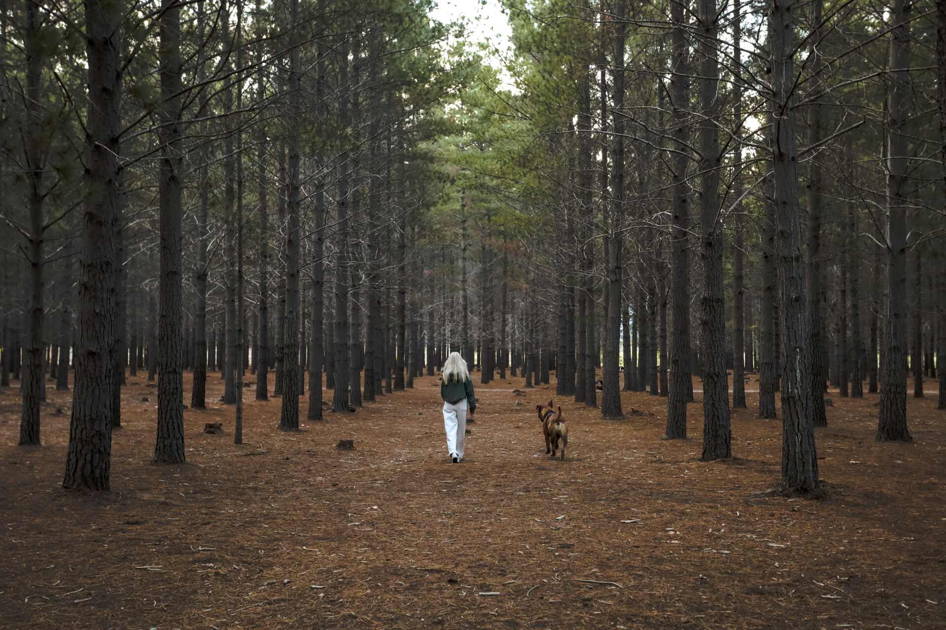 A woman walking off-leash with her dog through a forest