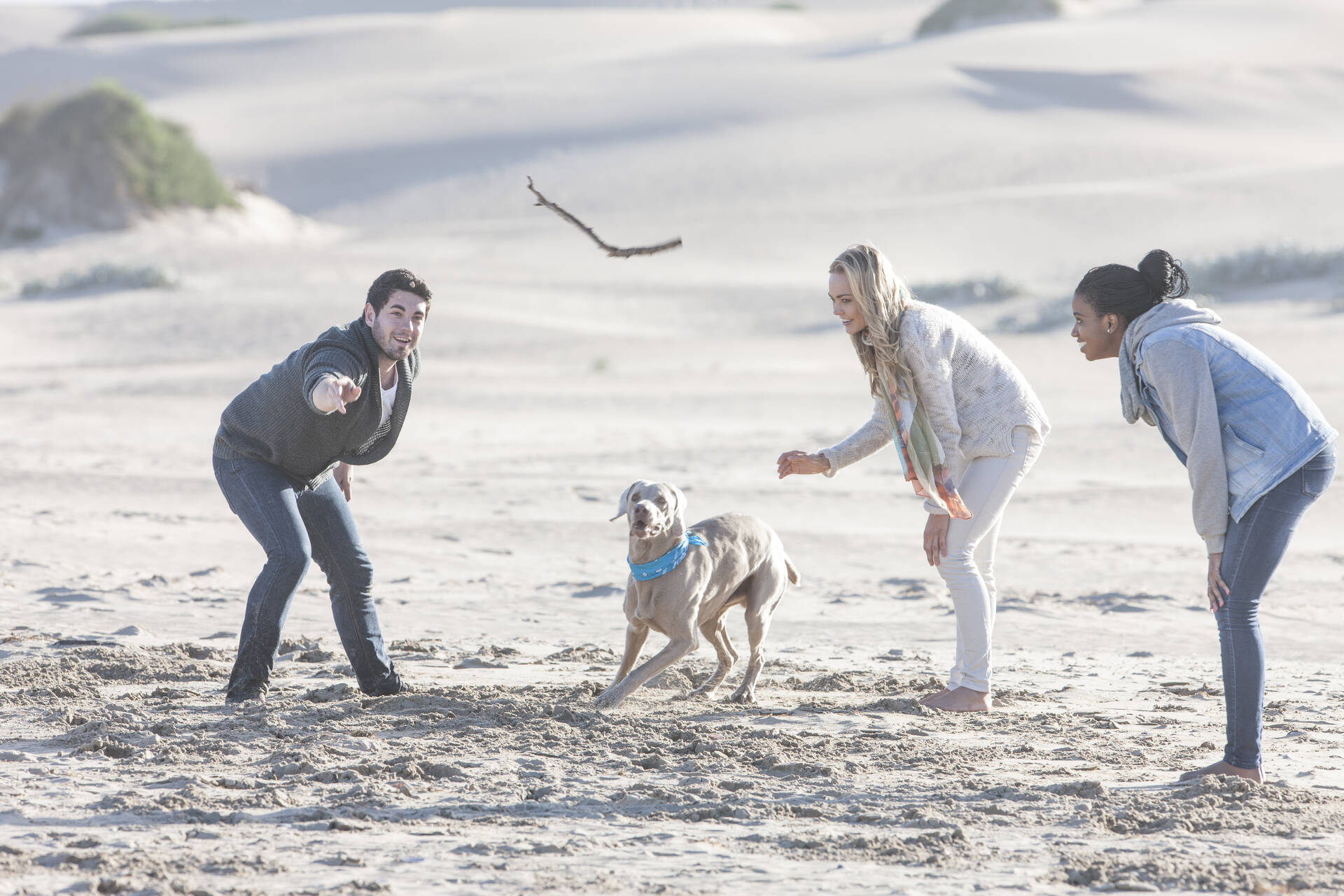 Three friends playing on a beach with a dog