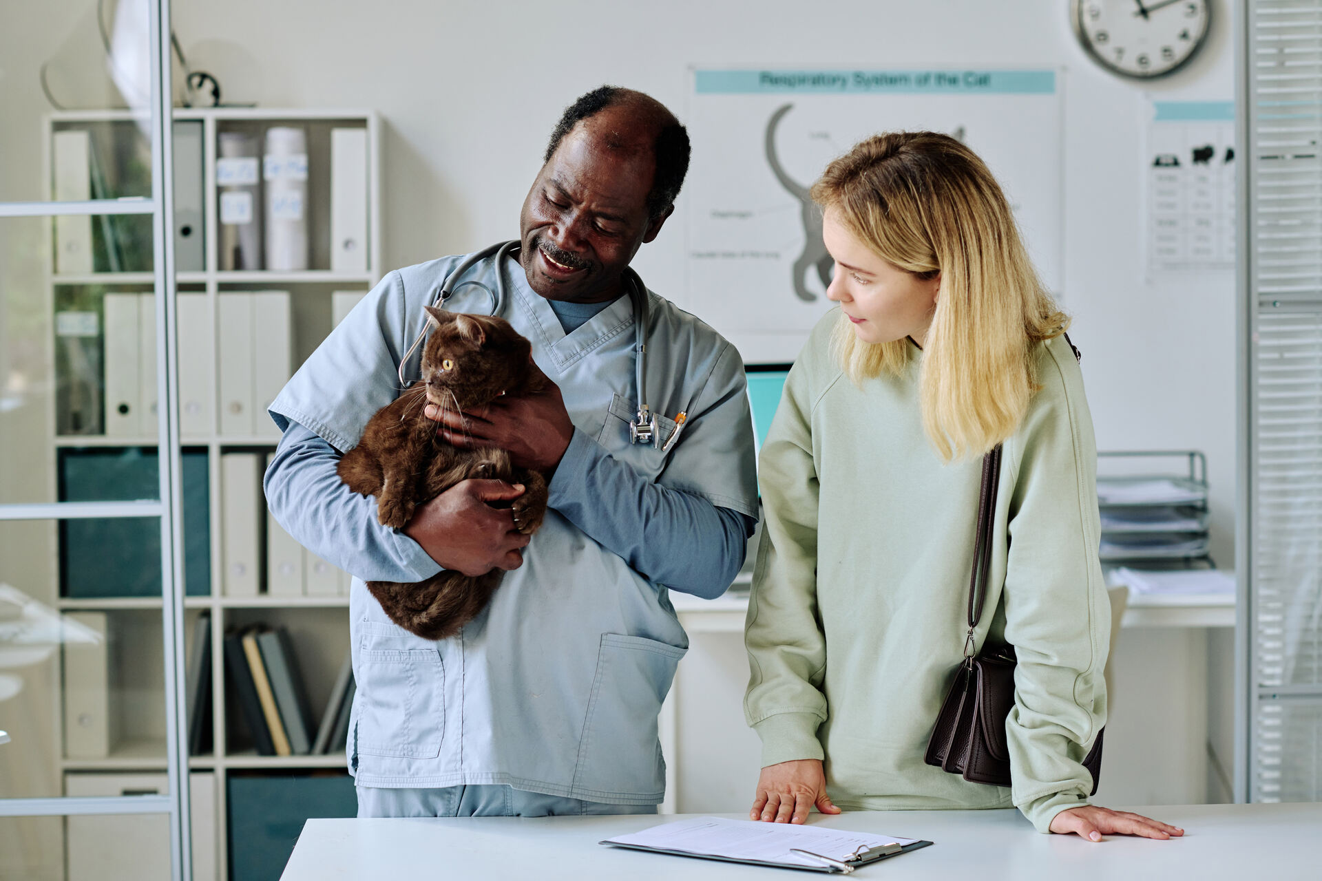 A pair of vets examining a cat at their clinic