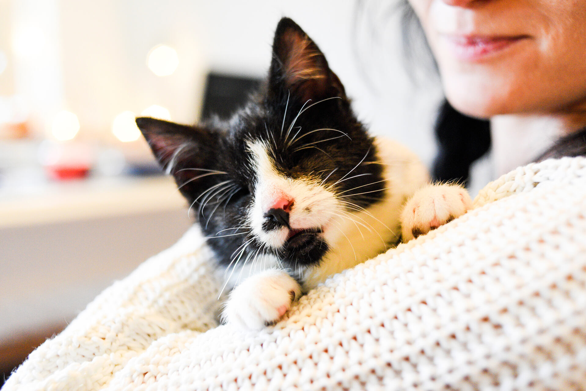 A woman hugging a blind cat