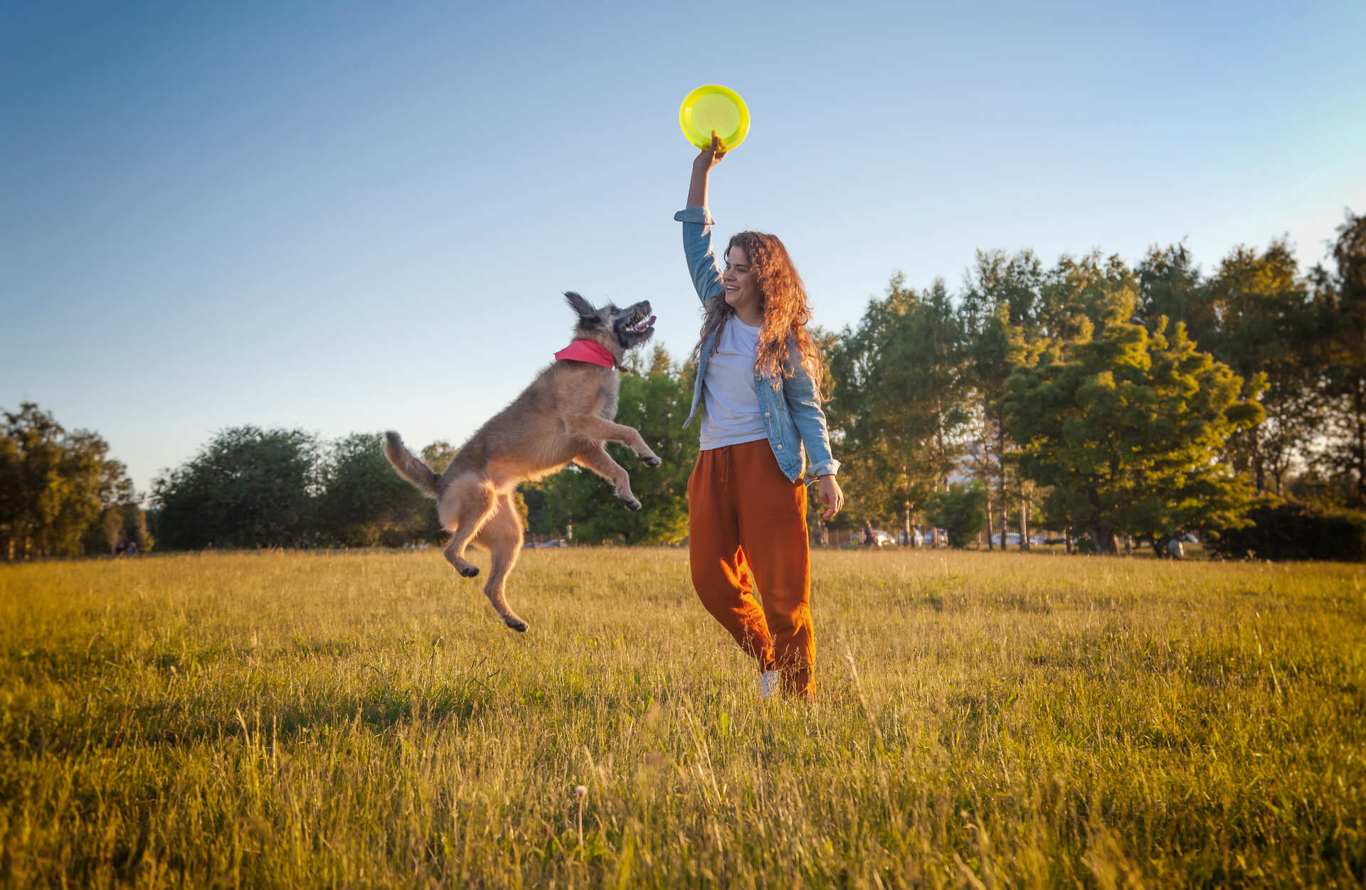 A woman holding up a frisbee from a jumping dog