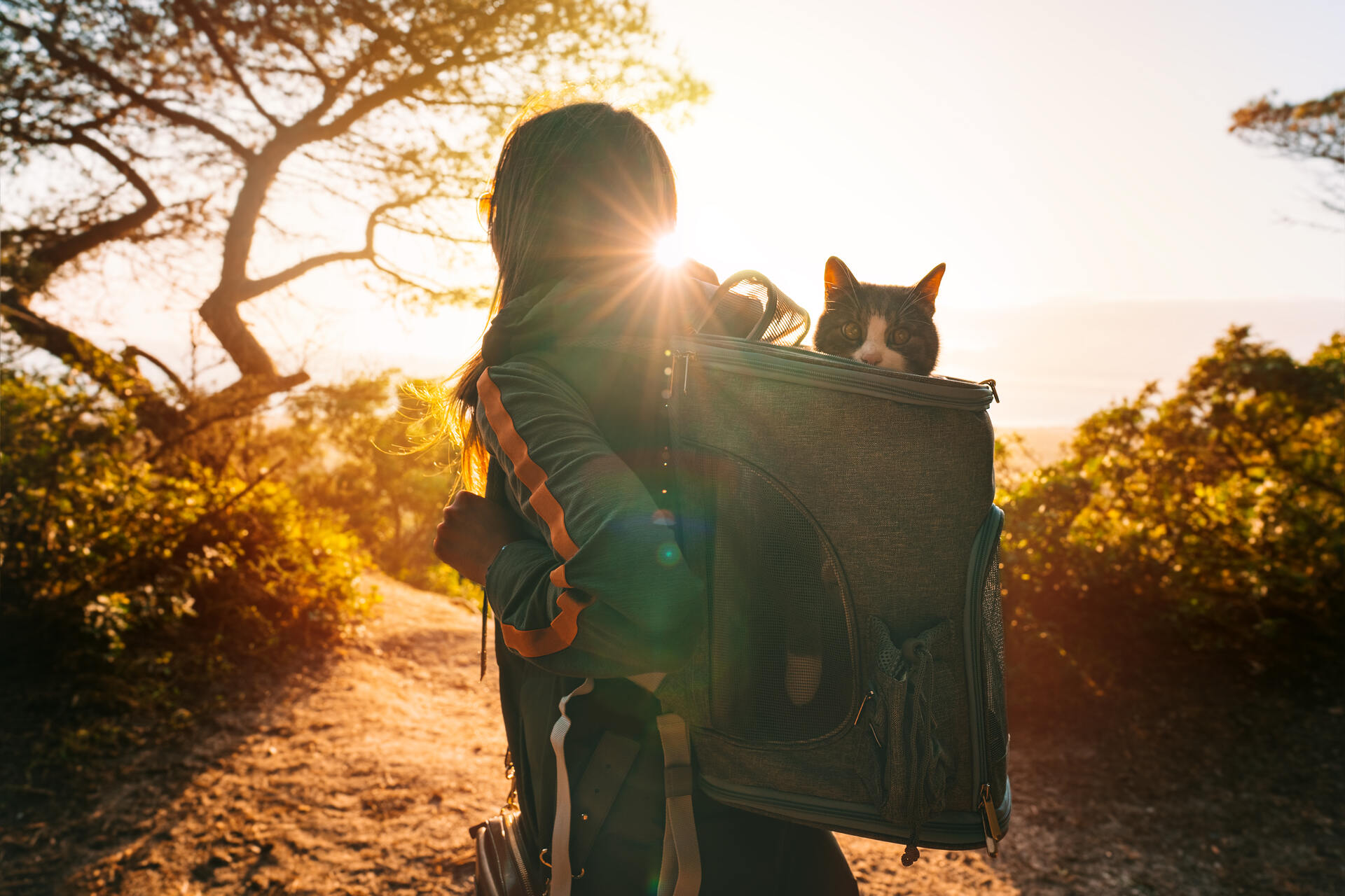 A woman hiking with a cat in her backpack