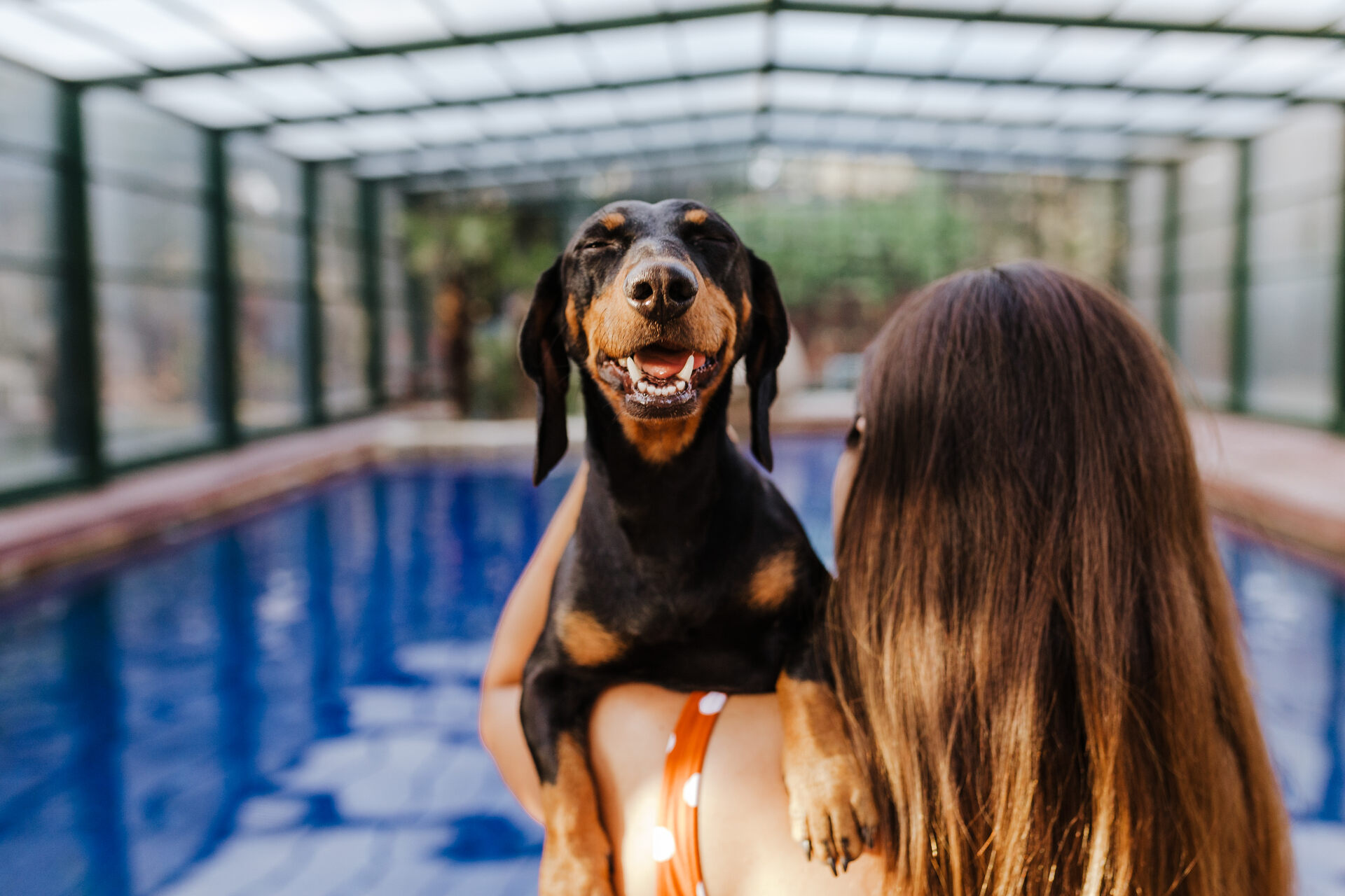 A dog blinking away chlorine from its eyes after swimming in a pool