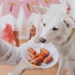 A woman offering a plate of sausage to her dog