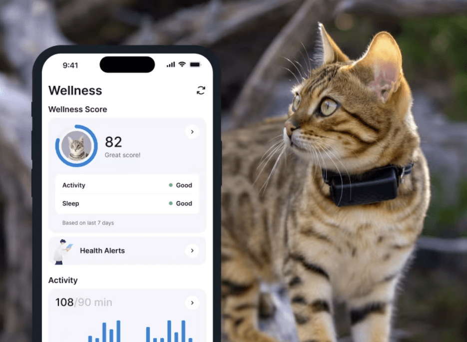 A cat's Wellness score on the Tractive mobile app