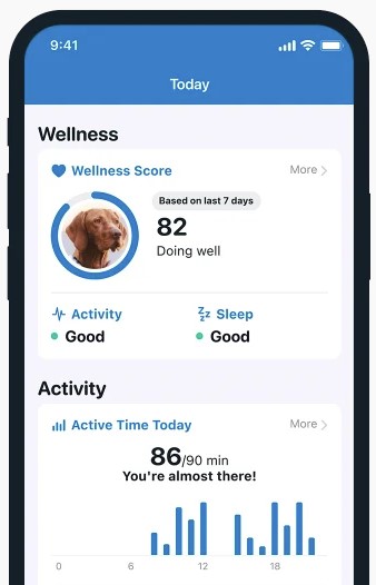 A dog's overall Wellness score on the Tractive mobile app