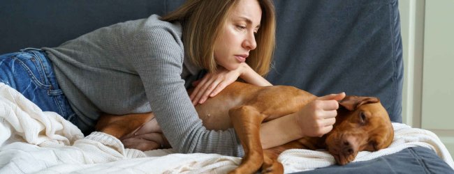 A woman comforting a sick dog lying in bed