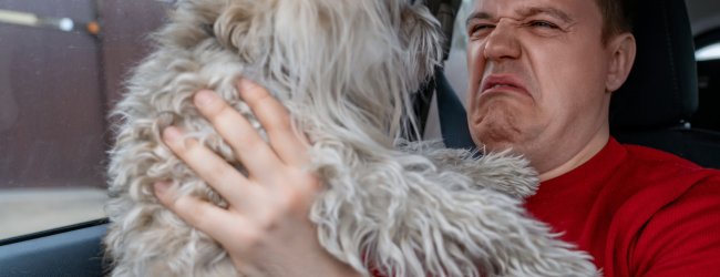 A man wondering what's causing his dog's bad breath