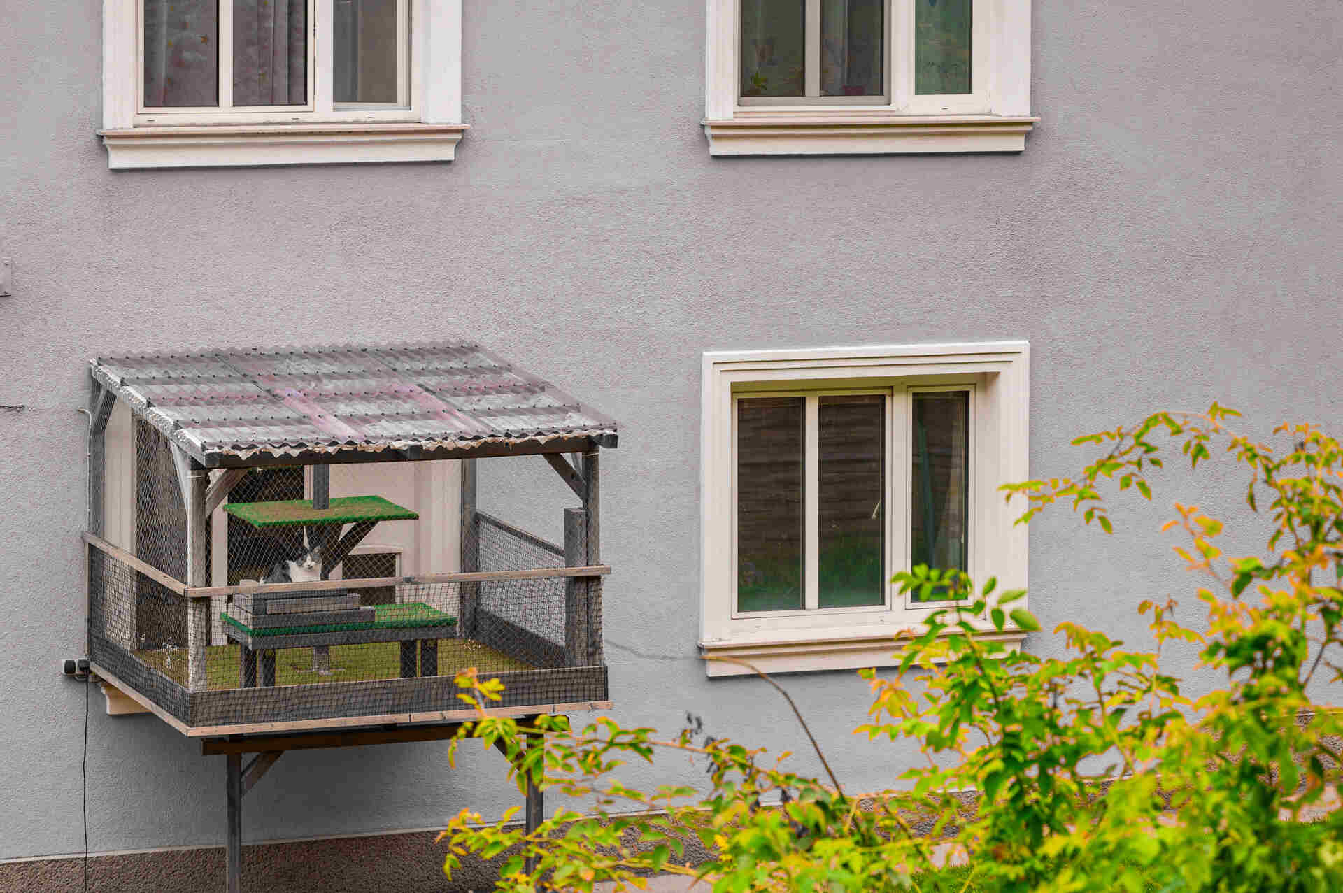 A cat sitting in an outdoor balcony enclosure