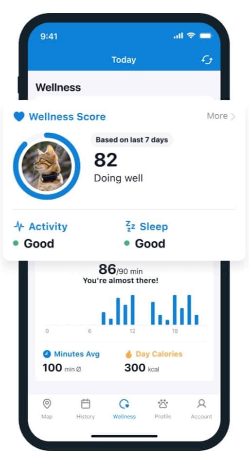 Tractive GPS App screen - Cat Wellness Monitoring