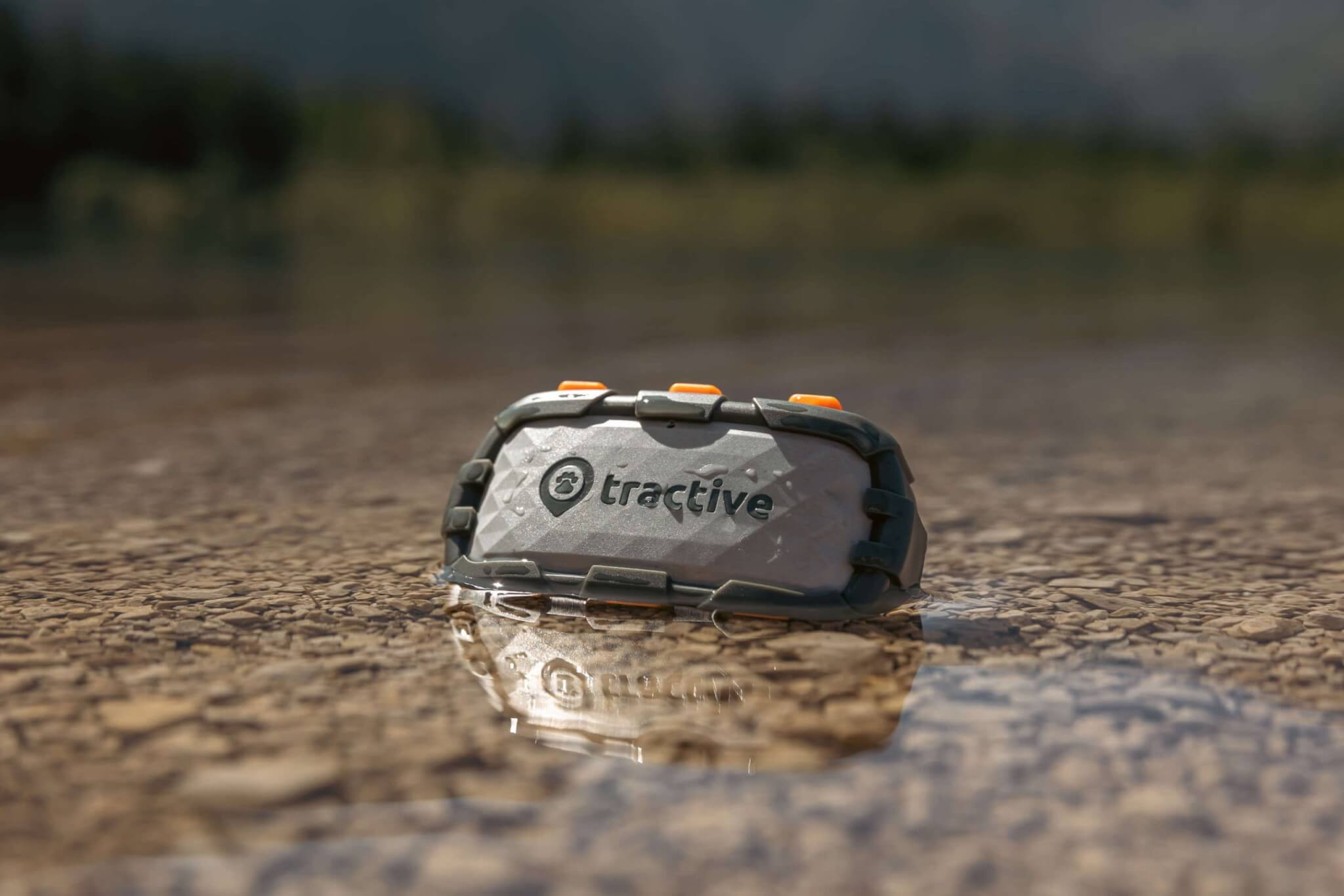 Tractive Dog XL Adventure Tracker im Wasser