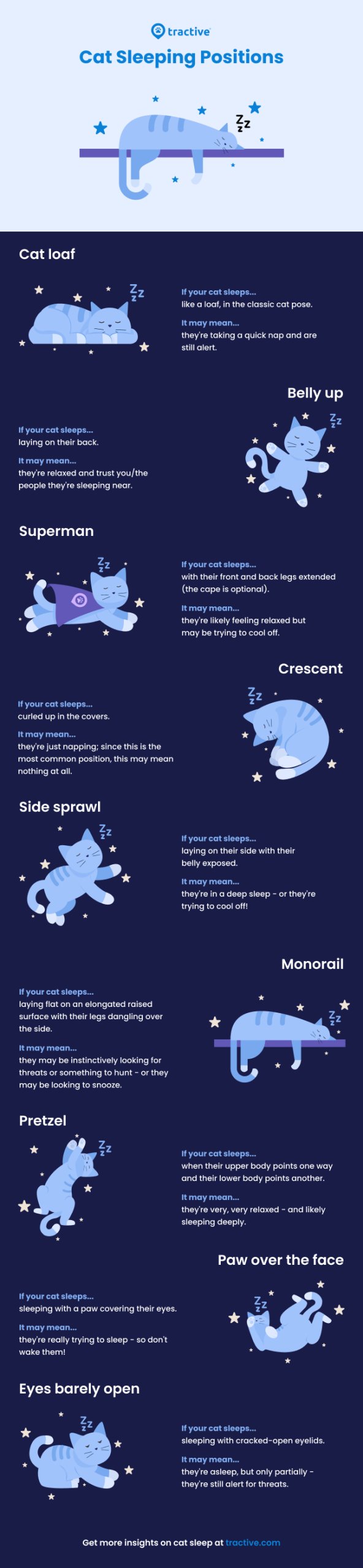 cat sleeping positions infographic