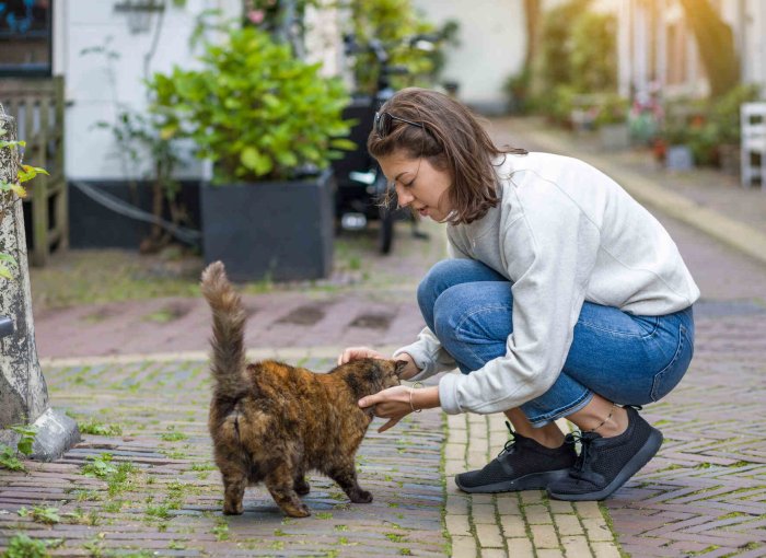 A woman caring for a stray cat