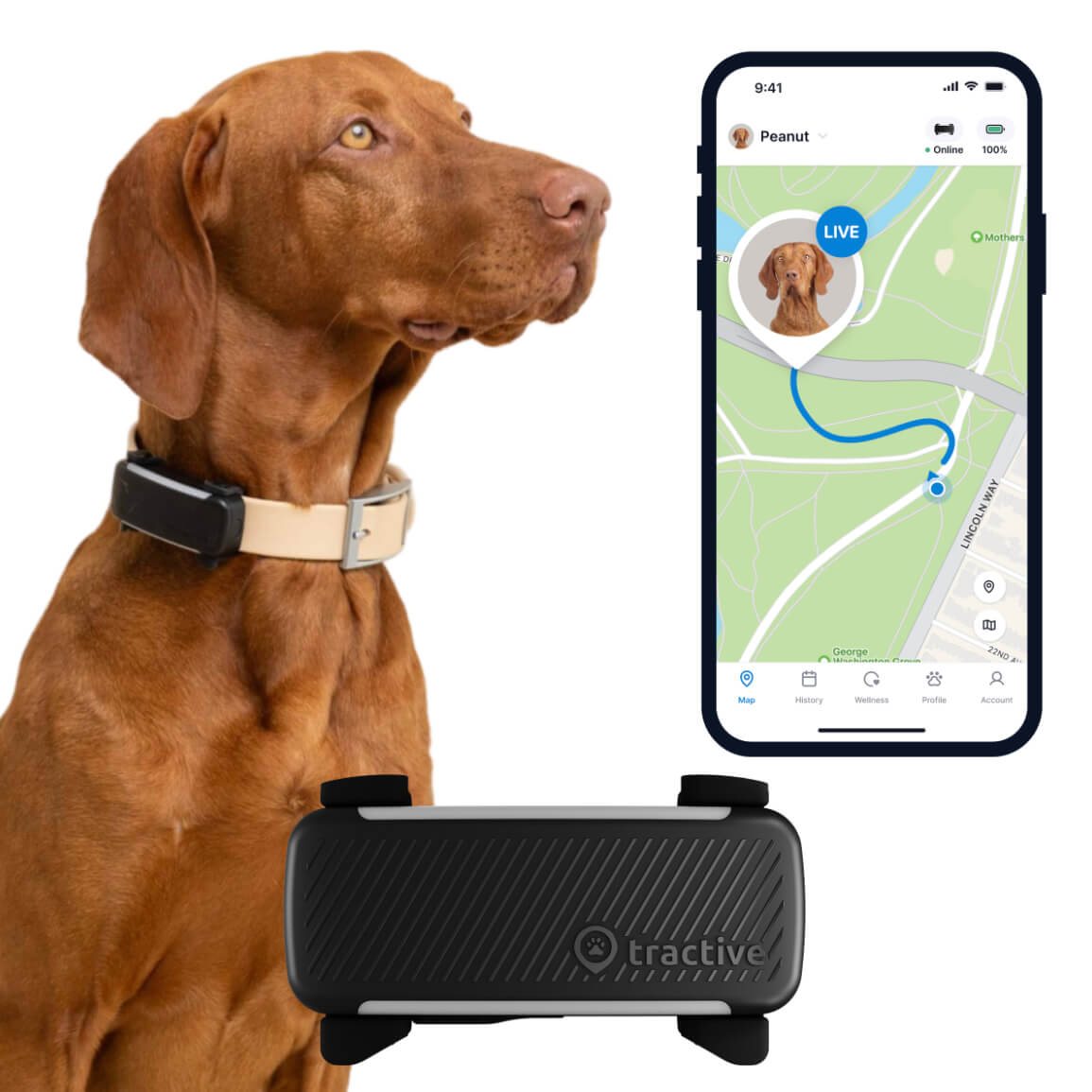 Tractive GPS Dog Tracker 6