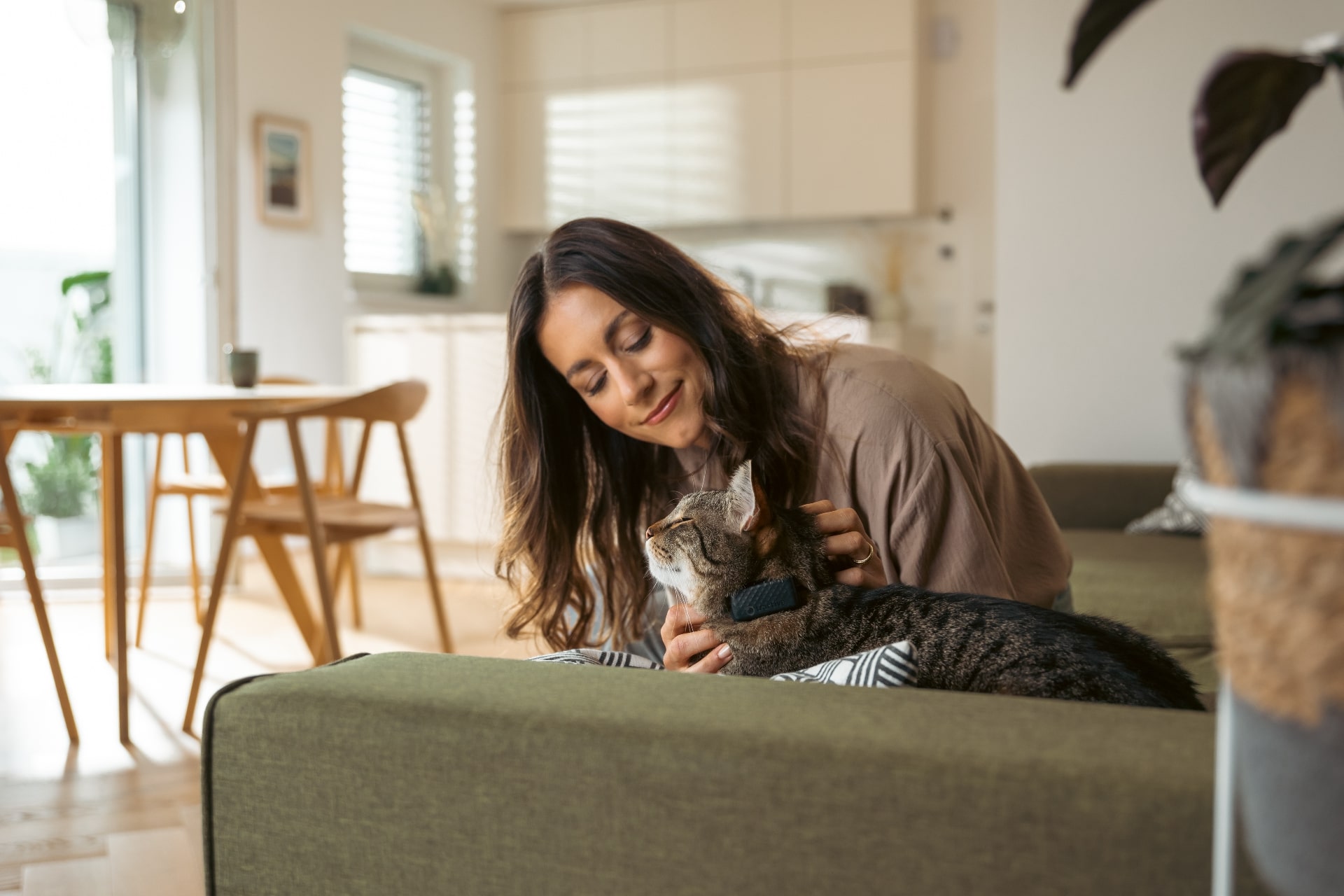 Frau streichelt Katze auf der Couch