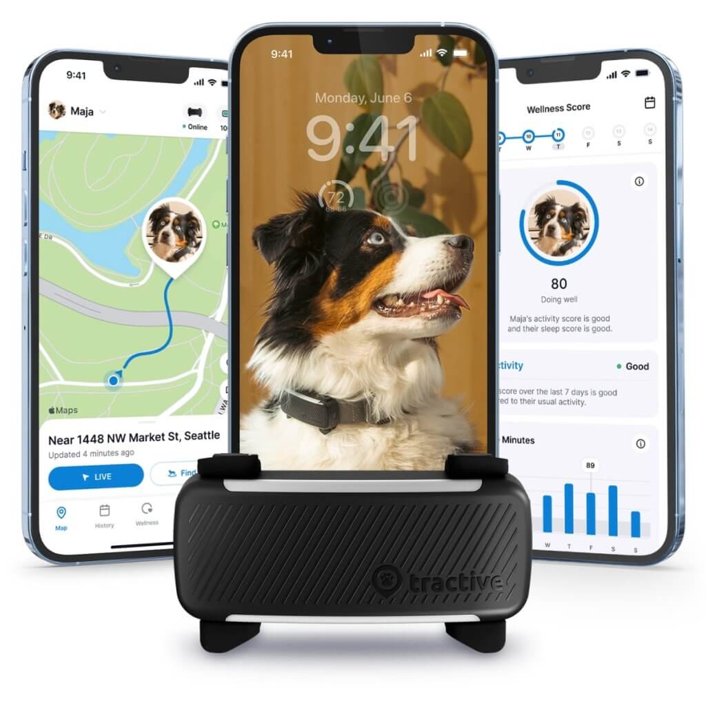 traceur gps noir pour chiens avec trois captures d'écran d'un téléphone avec l'application gps tractive en arrière-plan