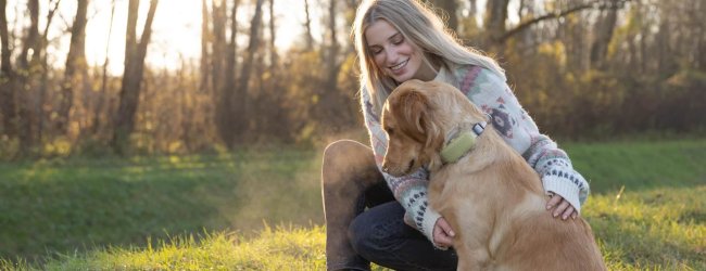 Golden Retriever mit seiner Besitzerin im Gras