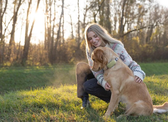 Golden Retriever mit seiner Besitzerin im Gras