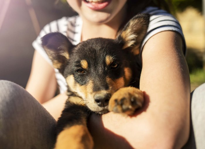 A girl holding a black and brown puppy in her arms