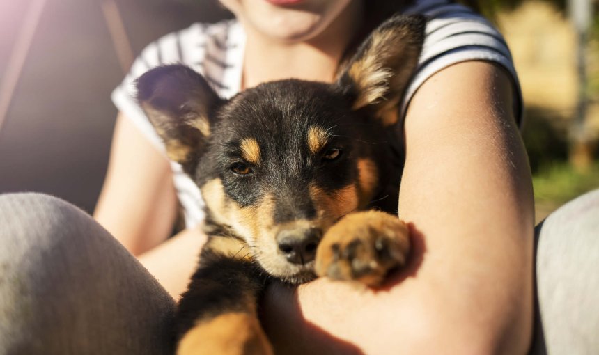 A girl holding a black and brown puppy in her arms