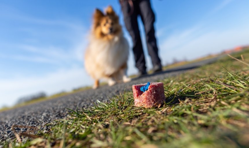 Mann geht mit Hund an einem Giftköder vorbei