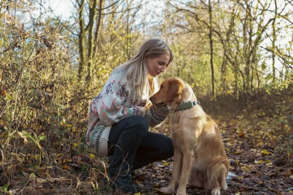 woman crouching down to pet a dog wearing a GPS tracker in the forest