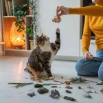 A woman playing with her cat indoors