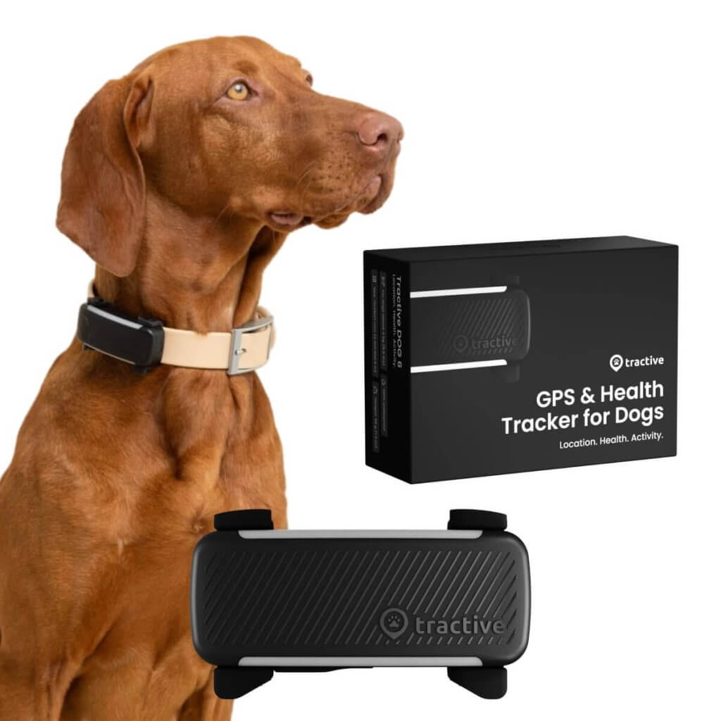 Tractive GPS & Health Tracker for Dogs black packaging with dog