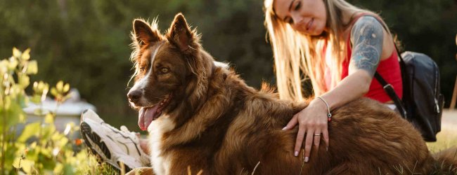 A young woman sitting with her dog at a park