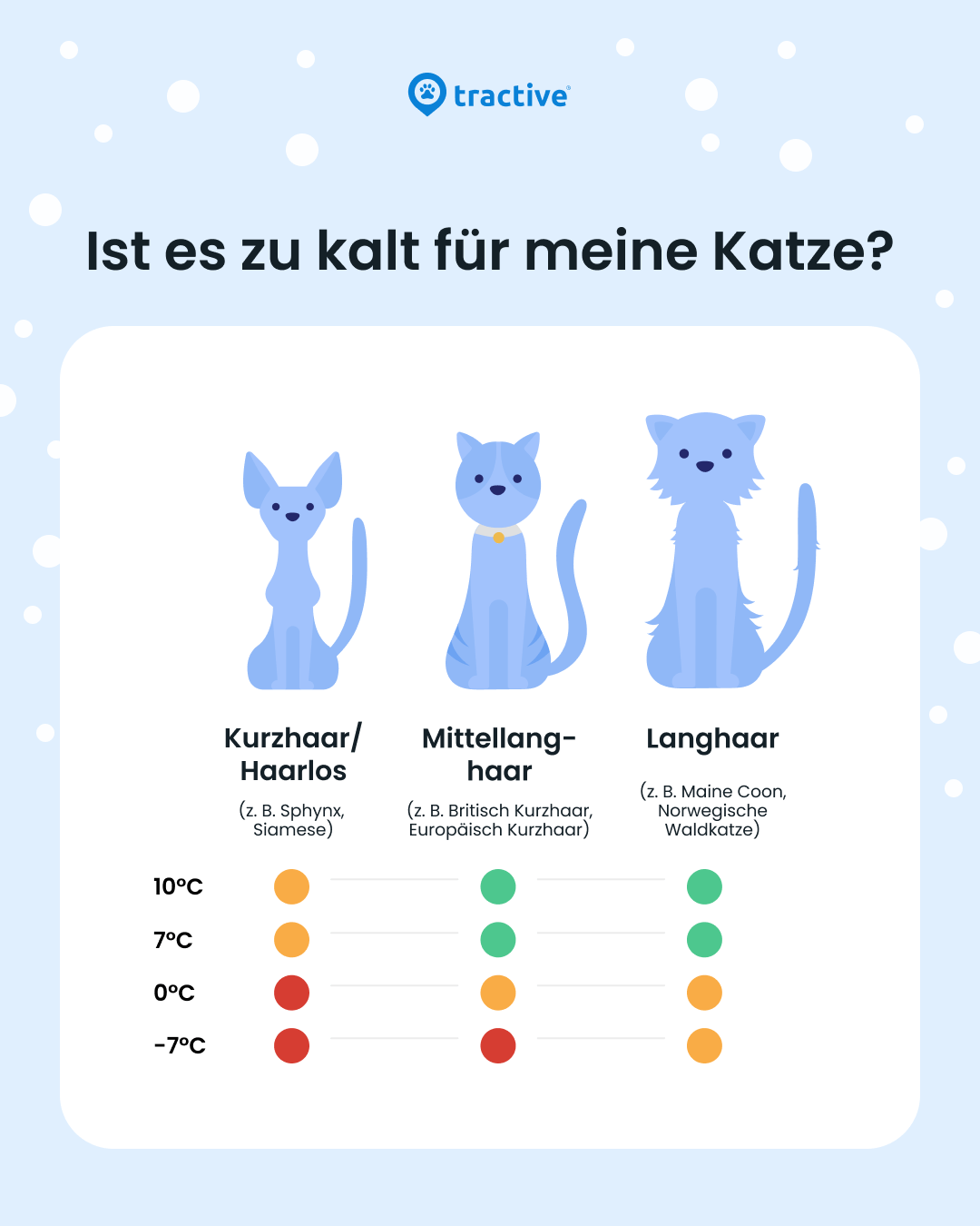 Infographik: zu kalt für Katzen?