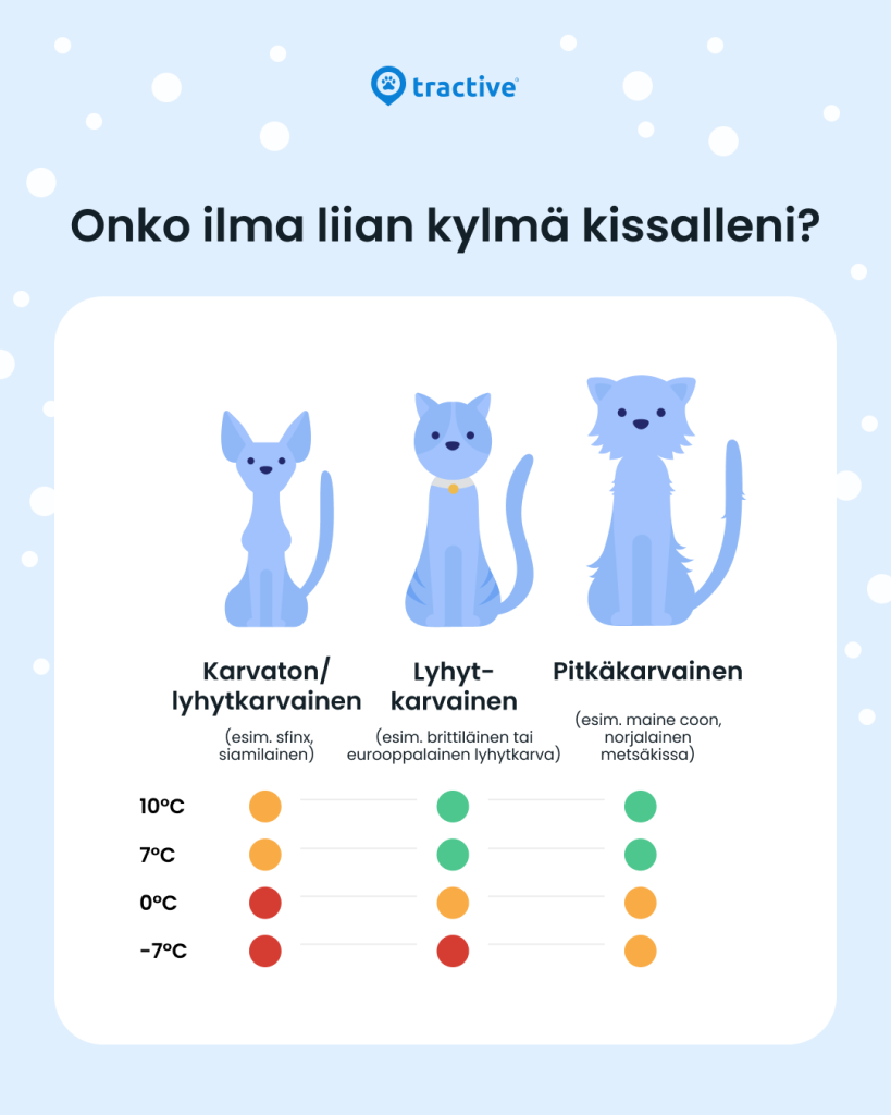 Infografiikka eri kissoille sopivista lämpötiloista turkin paksuuden mukaan.