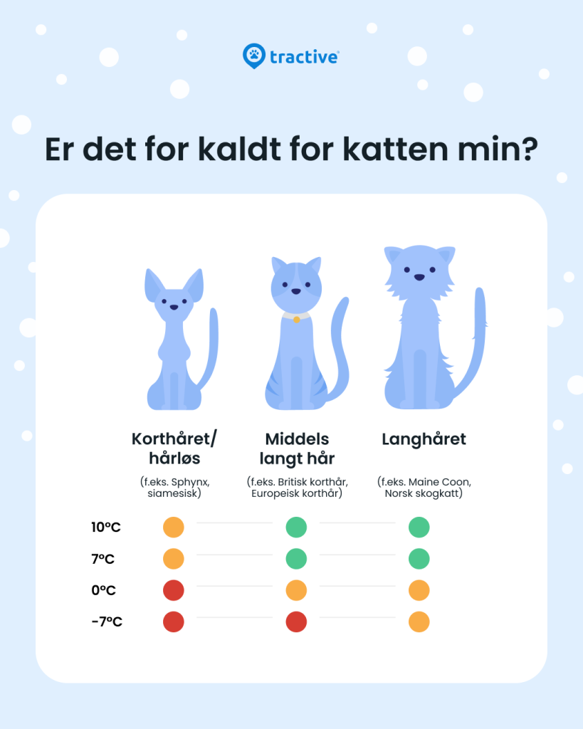 Tractive Infographic på: Hvor kaldt er for kaldt for katter?