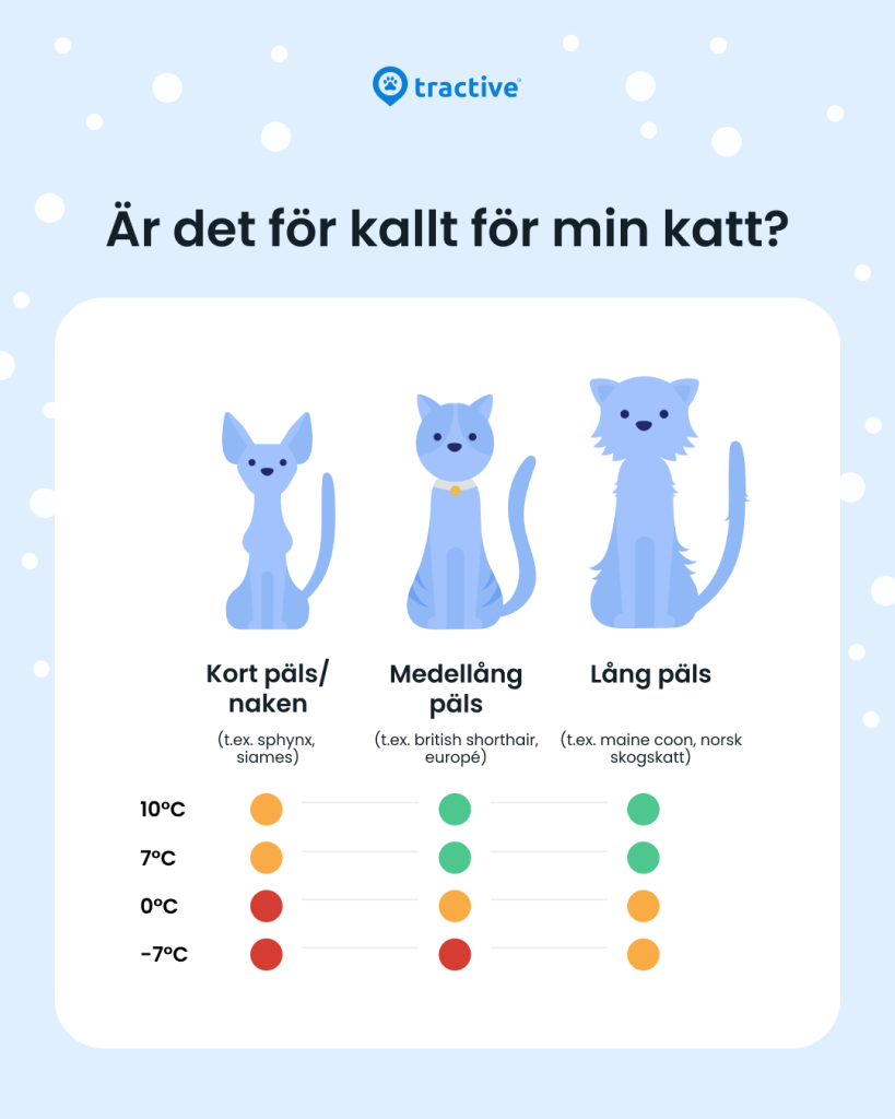 Tractive-infografik: hur kallt är för kallt för katter