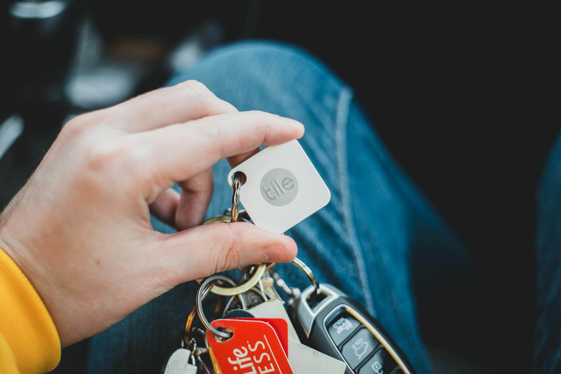Tile dog tracker on a keychain