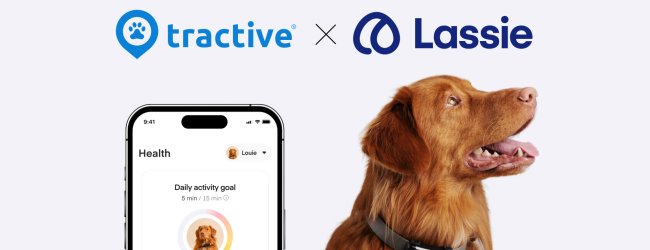 Lassie app screen and dog wearing Tractive tracker