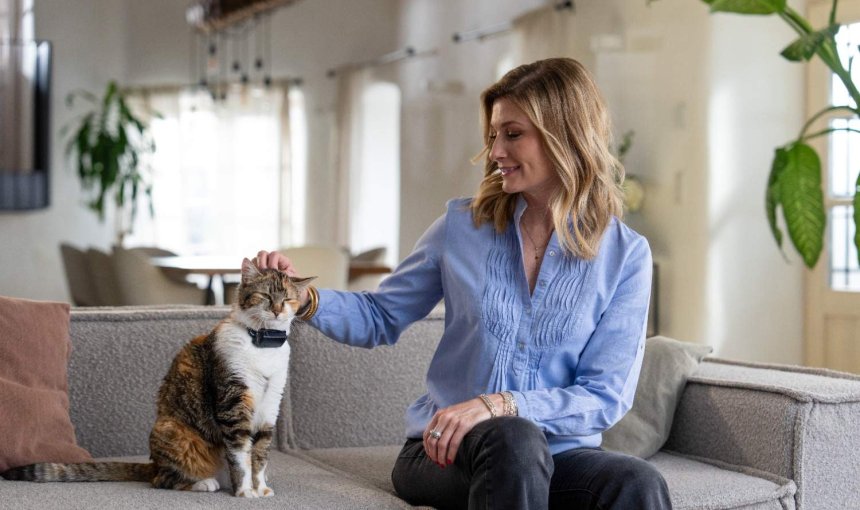 A cat wearing a Tractive GPS & Health tracker sitting next to a woman