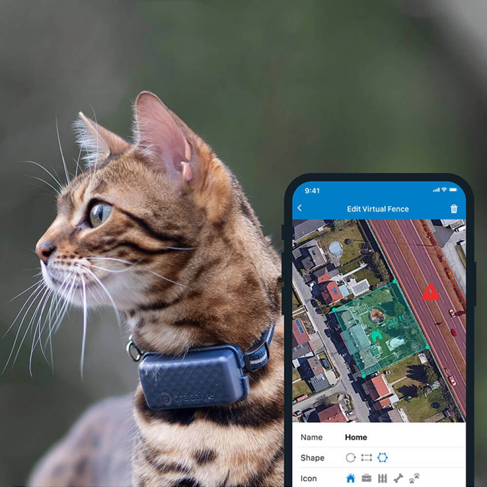 un chat équipé d'un traceur gps tractive pour chats, avec des clôtures virtuelles tractive sur l'écran de l'application