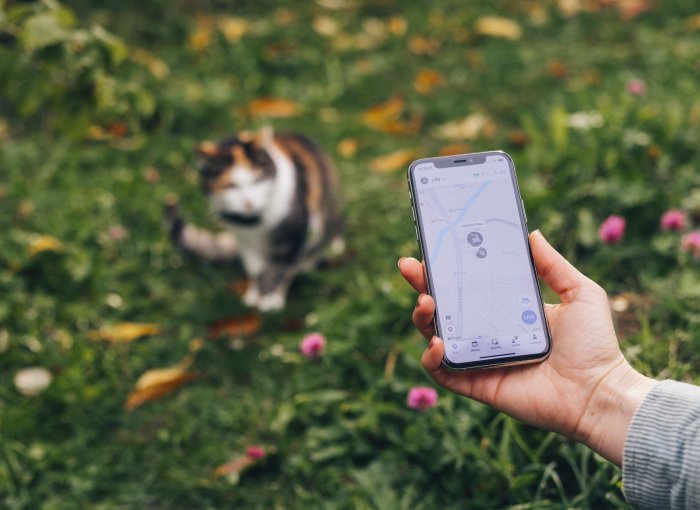 Katze mit Tractive GPS Tracker sitzt in der Wiese, Besitzer mit Handy in der Hand öffnet Tractive GPS App