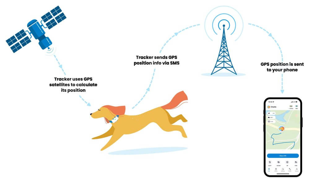 infographie sur le fonctionnement des traceurs GPS pour chiens de tractive