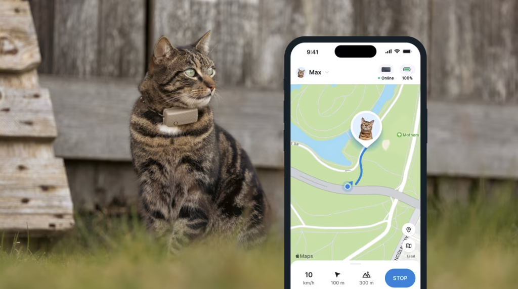 A cat's LIVE tracking data on the Tractive mobile app