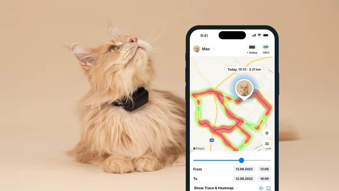 cat wearing tractive cat tracker and phone app screen showing location history heatmap feature of the tractive cat tracking app